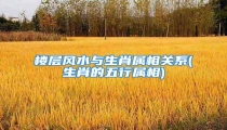 楼层风水与生肖属相关系(生肖的五行属相)