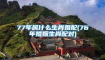 77年属什么生肖婚配(76年婚姻生肖配对)