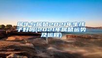 属牛与属鼠2021年生孩子好吗(2021年属鼠运势及运程)