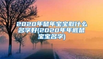 2020年鼠年宝宝取什么名字好(2020年年底鼠宝宝名字)