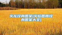 火龙纹身图案(火焰图腾纹身图案大全)
