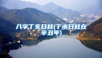 八字丁亥日柱(丁未日柱在辛丑年)
