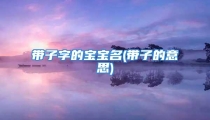 带子字的宝宝名(带子的意思)