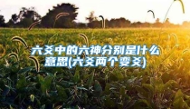 六爻中的六神分别是什么意思(六爻两个变爻)