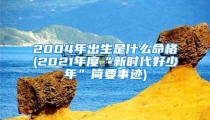 2004年出生是什么命格(2021年度“新时代好少年”简要事迹)