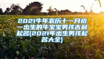 2021牛年农历十一月初一出生的牛宝宝男孩吉利起名(2021年出生男孩起名大全)