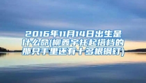 2016年11月14日出生是什么命(柳鑫宇托起搭档的那只手里还有十多根钢钉)
