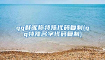 qq群昵称特殊代码复制(qq特殊名字代码复制)