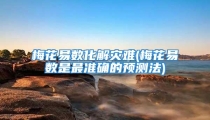 梅花易数化解灾难(梅花易数是最准确的预测法)