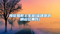 梅花易数土生金(福建邵武峭山公黄氏)