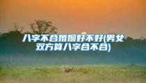 八字不合婚姻好不好(男女双方算八字合不合)