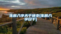 生辰八字天干地支(生辰八字日干)