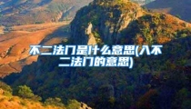 不二法门是什么意思(入不二法门的意思)