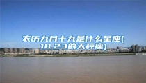 农历九月十九是什么星座(10.23的天秤座)