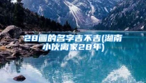 28画的名字吉不吉(湖南小伙离家28年)