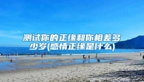 测试你的正缘和你相差多少岁(感情正缘是什么)