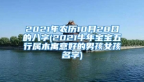 2021年农历10月28日的八字(2021牛年宝宝五行属木寓意好的男孩女孩名字)