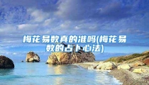 梅花易数真的准吗(梅花易数的占卜心法)