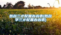 姓名三才配置吉凶表(姓名学三才配置吉凶表)