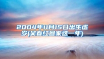 2004年11月15日出生虚岁(吴春红回家这一年)