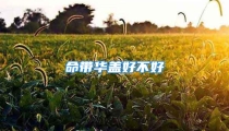 命带华盖好不好