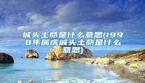 城头土命是什么意思(1998年属虎城头土命是什么意思)