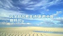 名字网名男生(好听的小姐姐网名)