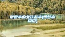 带梦字的女孩名字(带梦字词语)