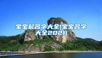 宝宝起名字大全(宝宝名字大全2021)
