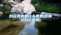 白云苍狗是什么意思(苍狗又白云意思)
