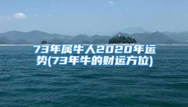 73年属牛人2020年运势(73年牛的财运方位)