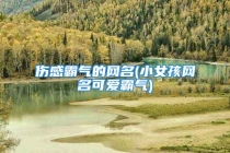 伤感霸气的网名(小女孩网名可爱霸气)