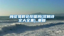 梅花易数会反噬吗(汉朝诗文大全集)_重复