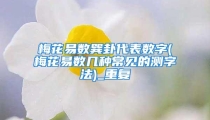 梅花易数巽卦代表数字(梅花易数几种常见的测字法)_重复