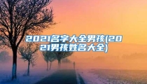 2021名字大全男孩(2021男孩姓名大全)