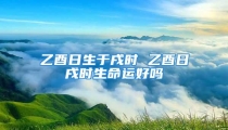 乙酉日生于戌时 乙酉日戌时生命运好吗
