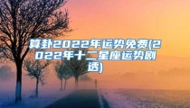 算卦2022年运势免费(2022年十二星座运势剧透)