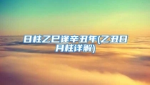 日柱乙巳逢辛丑年(乙丑日月柱详解)
