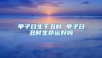 甲子日生于丑时 甲子日丑时生命运好吗