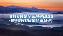 3月11日是什么日子(2022年3月11日是什么日子)