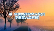 带宬字的男孩名字大全(元字取名大全男孩)