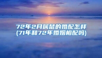 72年2月属鼠的婚配怎样(71年和72年婚姻相配吗)