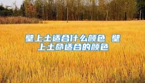 壁上土适合什么颜色 壁上土命适合的颜色