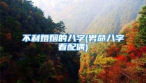 不利婚姻的八字(男命八字看配偶)