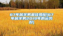 67年属羊男最佳婚配(67年属羊男2019年的运势好)