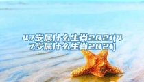 47岁属什么生肖2021(47岁属什么生肖2021)