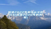 属猪2022年爱情运注意什么(属猪2020年的真爱)
