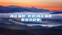 梅花易数 乾卦(梅花易数有多少卦象)