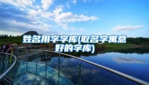 姓名用字字库(取名字寓意好的字库)