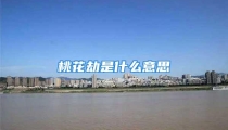 桃花劫是什么意思